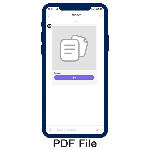 PDF Document